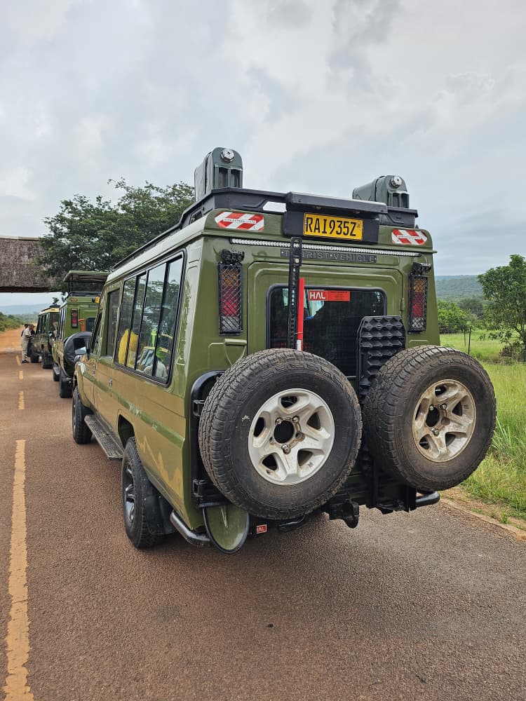 Land Cruiser on safari
